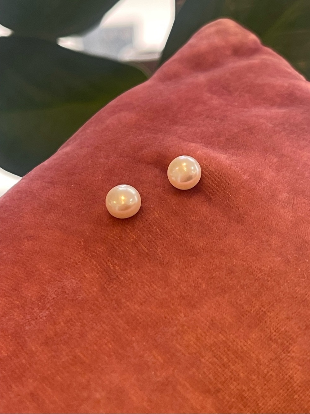Freshwater Pearl Stud Earrings - Picture 5 of 12